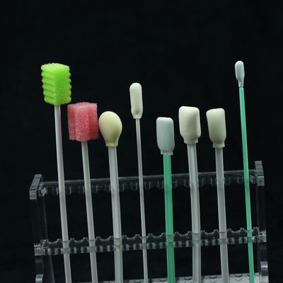 Denti eliminabili degli accessori dentari che puliscono i tamponi